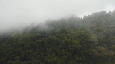 Bulutlardaki yağmur ormanları, Bali, Endonezya.