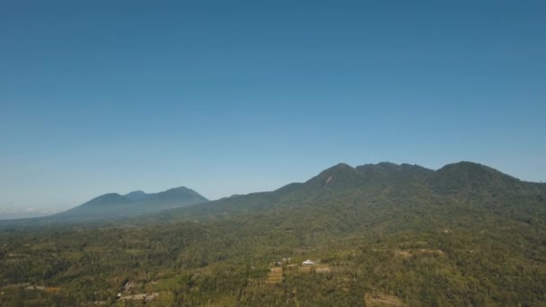 Горный ландшафт с сельскохозяйственными угодьями, Бали, Индонезия — стоковое видео