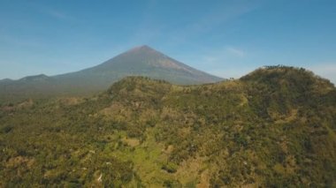 Dağ manzarası tarım arazileri ve Endonezya Bali köyü.