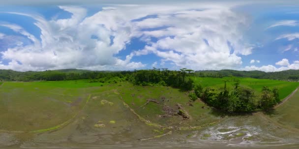 Сельскохозяйственный ландшафт Азии. 360-градусный обзор — стоковое видео
