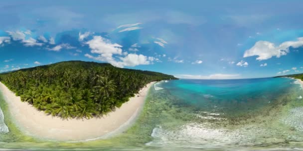 Песчаный пляж и пальмы. 360 панорама. — стоковое видео
