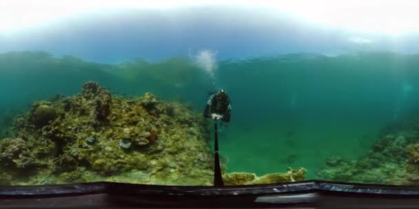 Korálový útes s rybami pod vodou 360VR. Leyte, Filipíny. — Stock video