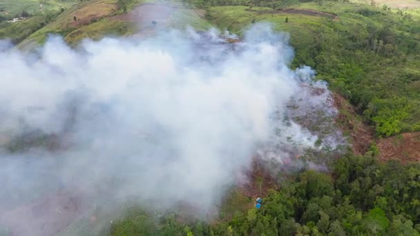 Incêndio florestal provocado pelo homem em terras agrícolas. — Vídeo de Stock