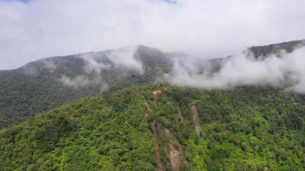 Hory s deštným pralesem a mraky. Filipíny, Mindanao — Stock video