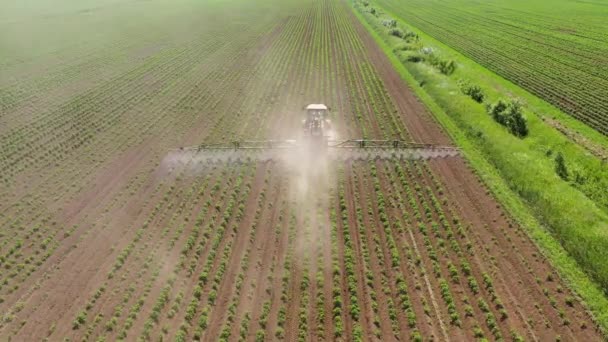 Traktor sprutning bekämpningsmedel på grönsak fält med spruta — Stockvideo