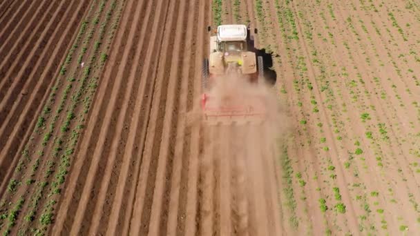 เครื่องจักรกลการเกษตรในสนามมันฝรั่ง ปลูกที่ดิน — วีดีโอสต็อก