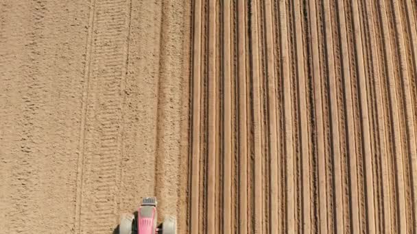 Tractor con gradas de disco en las tierras de cultivo — Vídeos de Stock