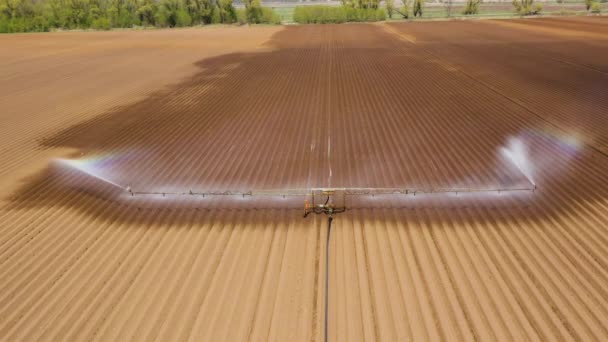 Sistema de irrigação em terras agrícolas. — Vídeo de Stock