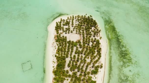 Isola tropicale con una spiaggia sull'atollo. Isola di Onok Balabac, Filippine. — Video Stock