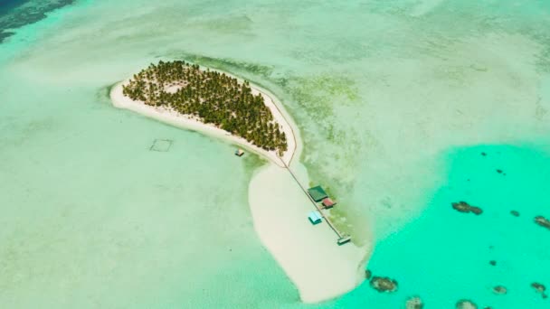Mercan adasında plajı olan tropik bir ada. Onok Adası Balabac, Filipinler. — Stok video