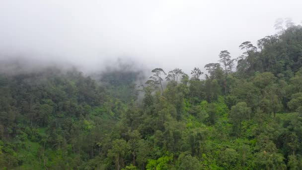 Montagnes avec forêt tropicale et nuages. Philippines, Mindanao — Video