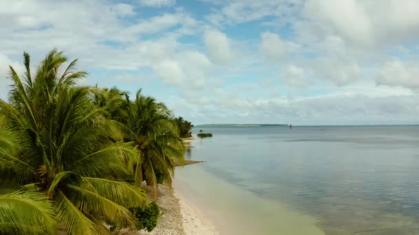 Тропічний пляж з пальмами., вид з повітря . — стокове відео