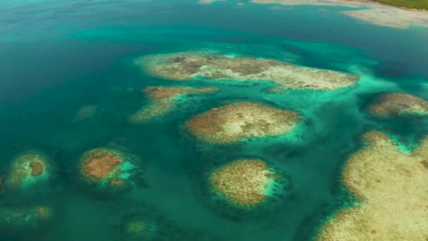 Transparent blue sea water in the lagoon. — Stock Video