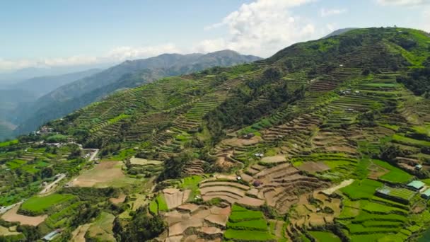 Terras agrícolas em uma província de montanha Filipinas, Luzon — Vídeo de Stock