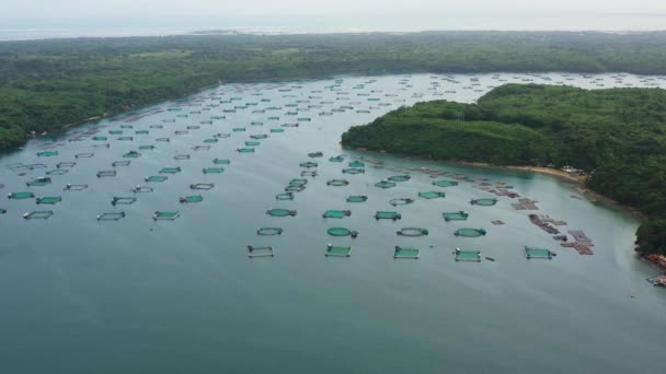 Aerial view of fish ponds for bangus, milkfish. — Stock Video