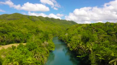 Ormandaki Loboc nehri. Bohol, Filipinler.