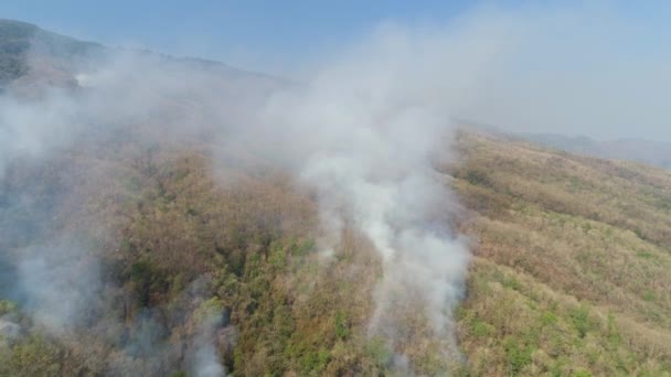 Skogsbrand i fjällen — Stockvideo