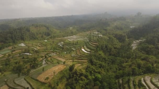 Dağlarda tarım arazileri olan tropikal manzaralar — Stok video