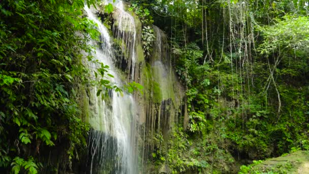 Hermosa cascada tropical Filipinas, Cebú — Vídeo de stock