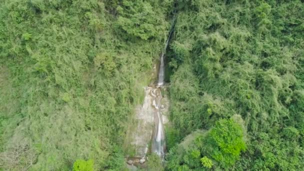 Waterval in de bergen. — Stockvideo