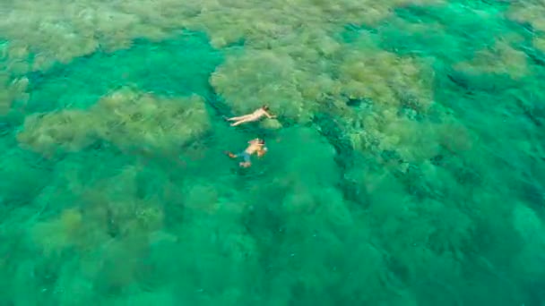 Туристы ныряют с маской и трубкой в коралловом рифе, Моальбоале, Филиппины — стоковое видео