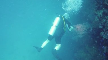 Skuba dalgıcı suyun altında. Leyte, Filipinler.
