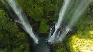 Güzel tropik şelale. Bali, Endonezya.