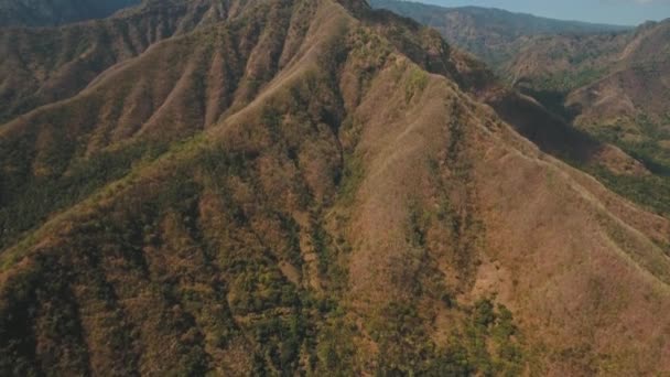 Vue du paysage de la forêt de montagne. Bali — Video