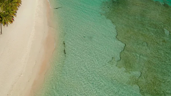 Isla tópica con playa de arena blanca, vista superior. — Foto de Stock