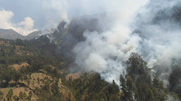 forest fire in the mountains