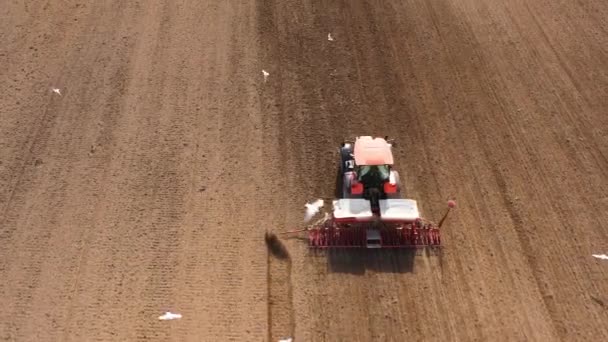 Tractor met zaaimachine in het veld. — Stockvideo