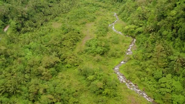 Rivière coulant dans la jungle montagneuse, Philippines, Camiguin. — Video