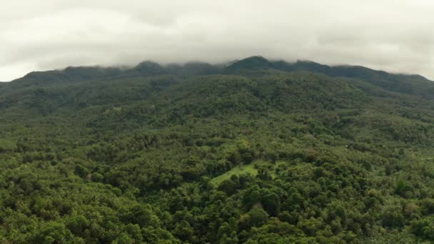 Bergen bedekt met regenwoud, Filippijnen, Camiguin. — Stockvideo