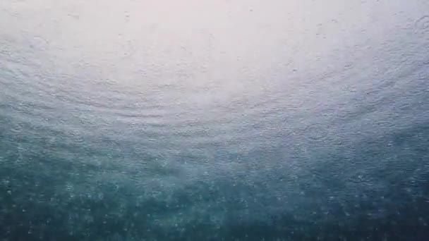 Lluvia en la superficie del mar, vista bajo el agua. — Vídeos de Stock