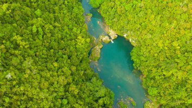 Ormandaki Loboc nehri. Bohol, Filipinler.