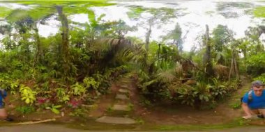 Filipinler 'deki yağmur ormanları. 360 Derece Görünüm.