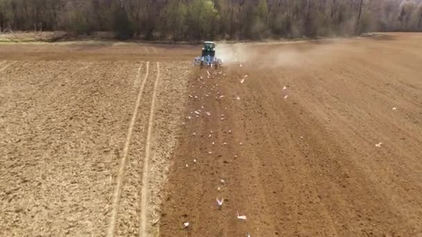 A traktor felszántja a földet, előkészíti a termést.. — Stock videók