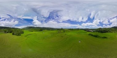 Güzel pirinç terasları. Bohol, Filipinler. 360 Derece Görünüm.