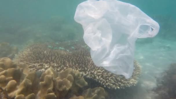 Piękna rafa koralowa zanieczyszczona plastikową torbą. — Wideo stockowe