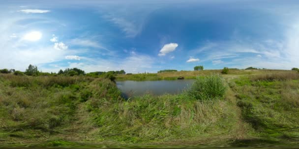 Paesaggio estivo con campo e lago. Vista a 360 gradi. — Video Stock