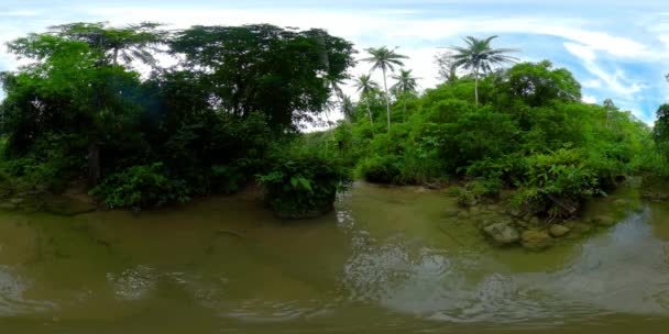 Rio na floresta tropical. Filipinas, Bohol. Realidade Virtual 360. — Vídeo de Stock