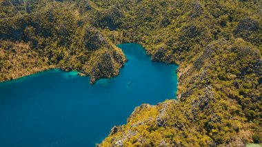 Filipinler, Coron, Palawan 'da tropikal bir adada Barakuda Gölü.