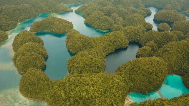 Hava manzaralı tropikal göl, deniz, sahil. Bucas Grande Adası, Sohoton Koyu. Filipinler.