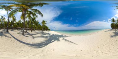 Kumsal ve tropikal deniz. Panglao Adası, Filipinler. 360 Derece Görünüm,