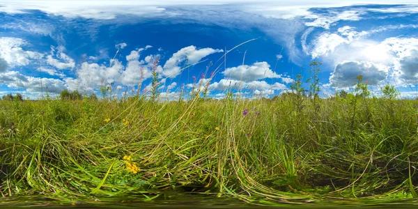 여름 목초지가 있는 풍경. 360-Degree 뷰. — 스톡 사진