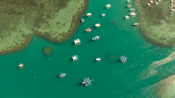 Barcos turísticos em uma baía com água azul — Vídeo de Stock