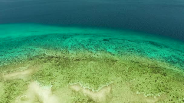 Paysage tropical avec mer bleue et récif corallien — Video