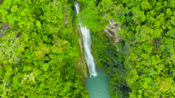 Bela cachoeira tropical Filipinas, Cebu — Vídeo de Stock