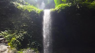 Güzel tropik şelale. Bali, Endonezya.