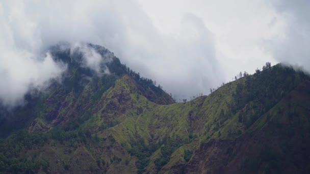 Ορεινό τοπίο Μπαλί, Ινδονησία. — Αρχείο Βίντεο